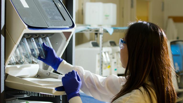 Researcher working in a lab with test tubes.